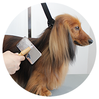 施術(トリミング)